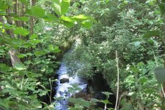 31Looking-downstream-from-Sewage-Works-Entrance-Bridge-B