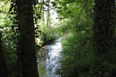 4Downstream-from-Wells-Road-Bridge-1
