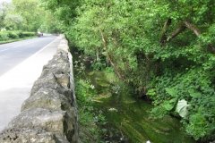 4Downstream-from-Wells-Road-Bridge-2
