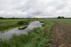 31.-Downstream-from-Northfiled-Rhyne-3