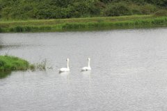32.-New-Bow-Pond-2