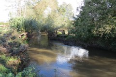 1.-Downstream-from-Hele-Bridge-2