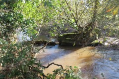 1.-Downstream-from-Hele-Bridge-4