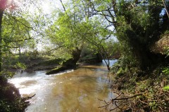1.-Downstream-from-Hele-Bridge-5