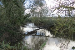 18.-Downstream-from-Langaller-1