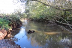 18.-Downstream-from-Langaller-10