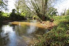 18.-Downstream-from-Langaller-5