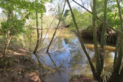 18.-Downstream-from-Langaller-6