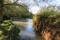 18.-Downstream-from-Langaller-9