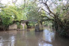 22.-Netherclay-Footbridge-downstream-arches-1