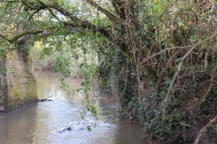 22.-Netherclay-Footbridge-downstream-arches-4