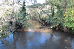 23.-Looking-downstream-from-Netherclay-Footbridge