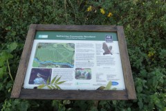 24-Netherclay-Community-Woodland