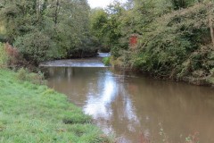 25.-Looking-upstream-to-Tytherleigh-Weir
