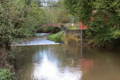 26.-Looking-upstream-to-Tytherleigh-Weir