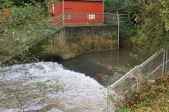 27.-Tytherleigh-Weir