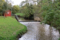 29.-Looking-upstream-from-Tytherleigh-Bridge