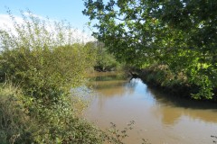 3.-Upstream-from-Langaller-Weir-2