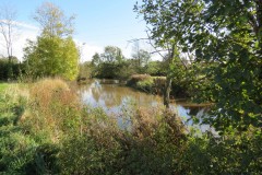 3.-Upstream-from-Langaller-Weir-7
