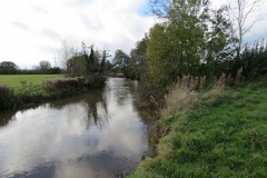 3.-Upstream-from-Langaller-Weir-8
