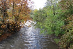32.-Looking-downstream-from-Tytherleigh-Bridge