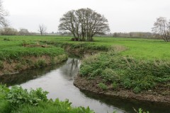 3a.-Downstream-from-Isle-Brewers-Weir-1