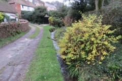 11.-Upstream-from-Holford-bridge
