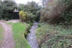 12.-Upstream-from-Holford-bridge