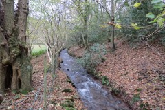 28.-Upstream-from-weir-below-Lower-Hare-Knap