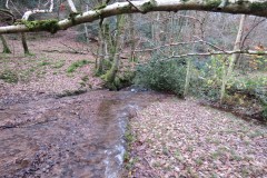 30.-Flowing-through-Holford-Combe-1
