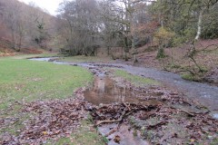 30.-Flowing-through-Holford-Combe-3