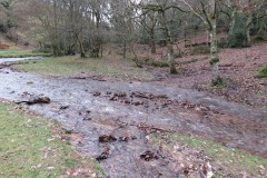 30.-Flowing-through-Holford-Combe-4