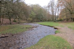 30.-Flowing-through-Holford-Combe-5