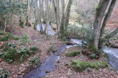 32.-Flowing-through-Holcombe-Combe-1