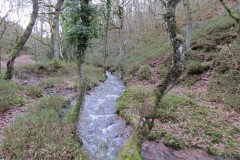 32.-Flowing-through-Holcombe-Combe-10