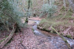 32.-Flowing-through-Holcombe-Combe-11