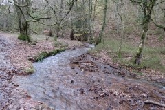 32.-Flowing-through-Holcombe-Combe-14