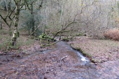32.-Flowing-through-Holcombe-Combe-15