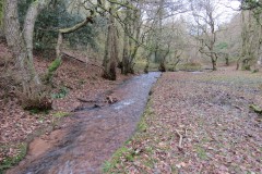 32.-Flowing-through-Holcombe-Combe-16