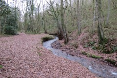 32.-Flowing-through-Holcombe-Combe-17