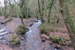 32.-Flowing-through-Holcombe-Combe-18