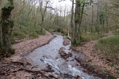 32.-Flowing-through-Holcombe-Combe-19