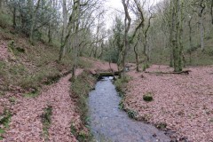 32.-Flowing-through-Holcombe-Combe-21