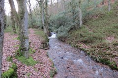 32.-Flowing-through-Holcombe-Combe-6