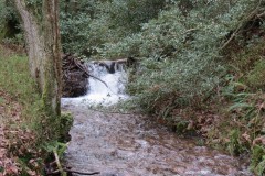 32.-Flowing-through-Holcombe-Combe-7