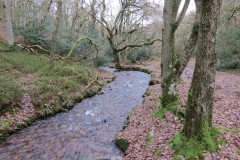 32.-Flowing-through-Holcombe-Combe-8