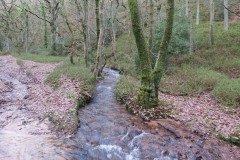 32.-Flowing-through-Holcombe-Combe-9