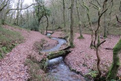 33.-Natural-bridge-Holcombe-Combe
