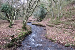 34.-Flowing-through-Holcombe-Combe-10
