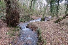 34.-Flowing-through-Holcombe-Combe-11